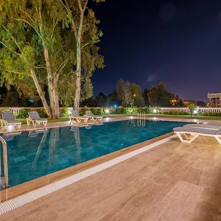 Kalender Suits 费特希耶